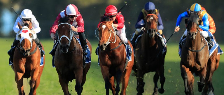 2019 Golden Eagle Race Preview Betting Tips From