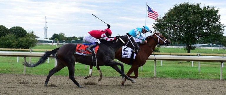 parx horse picks
