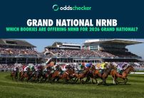 Which Bookies are Offering NRNB Markets for the Grand National This Week?