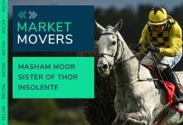Market Movers for Today's Horse Racing at Newcastle, Brighton & Nottingham