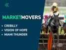 Market Movers for Today's Horse Racing at Chepstow, Catterick & Dundalk