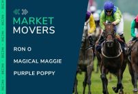 Market Movers for Today's Horse Racing at Newcastle, Ludlow & Lingfield