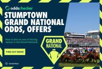 Stumptown's Grand National Odds, Runner Profile & Latest Form