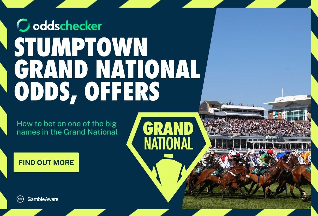 Stumptown's Grand National Odds, Runner Profile & Latest Form