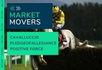 Market Movers for Today's Horse Racing at Chelmsford, Lingfield & Redcar