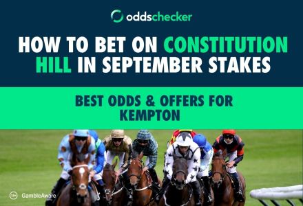 How to Bet on Constitution Hill in September Stakes: Best Odds & Offers for Kempton  