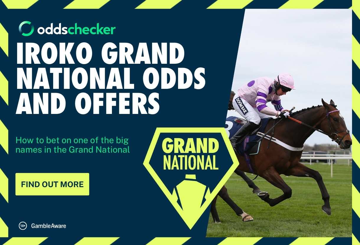  Iroko's Grand National Odds, Runner Profile & Latest Form