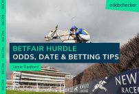When is the Betfair Hurdle at Newbury? Odds, Date, Entries & Betting Tips