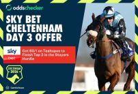 Sky Bet Cheltenham Festival: Get 60/1 on Teahupoo to Finish Top 3 in the Stayers Hurdle