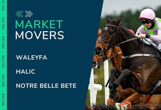 Market Movers for Today's Horse Racing at Bath, Lingfield & Newcastle
