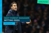 Next Forest Manager Odds: Julen Lopetegui 66% likely to replace Steve Cooper