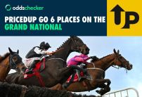 PricedUp Grand National Offer: PricedUp Go 6 Places on the Big Race