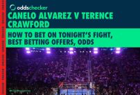 Canelo Alvarez v Terence Crawford: How to Bet on Saturday's Netflix Fight, Latest Odds
