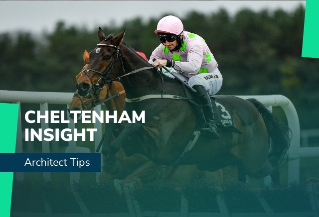 Architect Tips: Betfair Hurdle Picks & Grand National Trial Market Movers