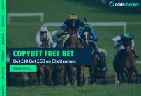 CopyBet Cheltenham Free Bet: Bet £10, Get £50