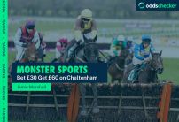 Bet £30 Get £60 at Cheltenham With Monster Sports