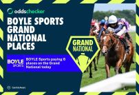BOYLE Sports Paying 6 Places for the Grand National