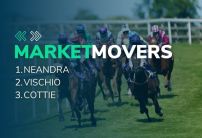 Market Movers Today: Thursday's three steamers at Lingfield and Tramore