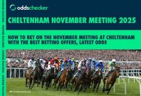 How to Bet on Cheltenham November Meeting with Best Betting Offers, Latest Odds