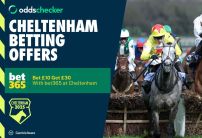 bet365 Cheltenham 2025 Odds, Offers and Free Bets For Today's Festival