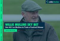 Get 40/1 on Willie Mullins to Train One Cheltenham Winner with Sky Bet 