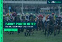 Paddy Power Sign Up Offer: Get £40 In Free Bets for Cheltenham