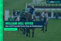 William Hill Free Bet: Get £5 Free Every Day at Cheltenham