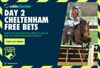 Day 2 Cheltenham Free Bets: Every Completely Free Bet For Today's Races