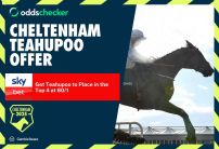 Sky Bet Cheltenham Day 3 Offer: Get 60/1 on Teahupoo to Place in the Top 4