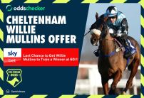 Sky Bet Cheltenham Offer: Last Chance to Get 60/1 on Willie Mullins to Train 1+ Winner Today