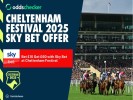 Sky Bet Cheltenham Festival 2025: Offers, Odds and Specials for Cheltenham 