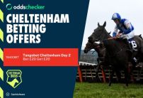 How to bet on Day 2 of Cheltenham Festival with Tangobet