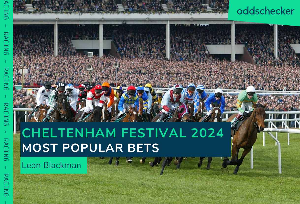 Cheltenham Most-Backed: Shishkin and Teeshan Headline the Week’s Most Popular Bets