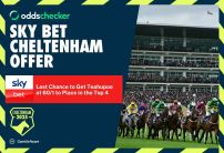 Sky Bet Cheltenham Offer: Last Chance to Get Teahupoo at 60/1 to Place in the Top 4