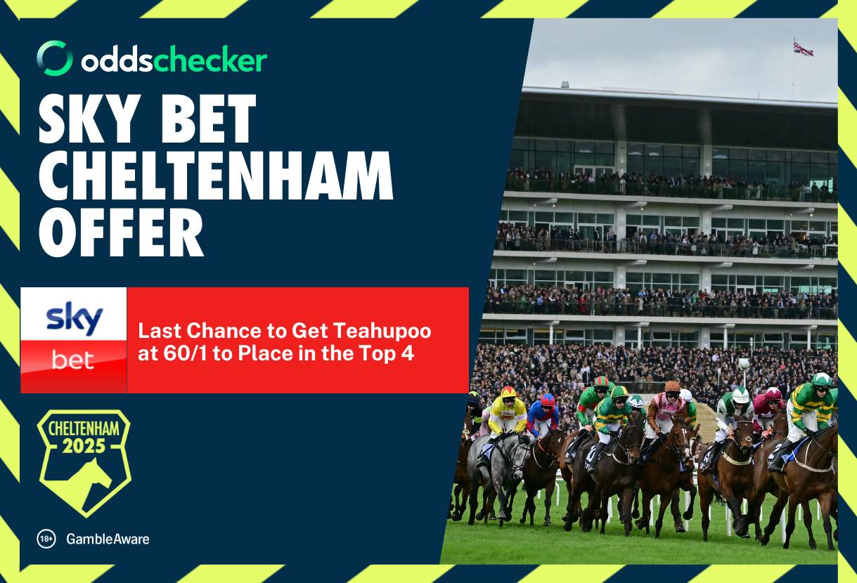 Sky Bet Cheltenham Offer: Last Chance to Get Teahupoo at 60/1 to Place in the Top 4