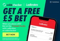 Triumph Hurdle Tips & Claim Your £5 Free Bet with Ladbrokes