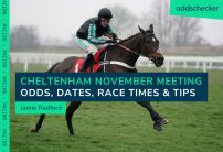 When is the Cheltenham November Meeting 2023? Odds, Dates, Race Times & Tips