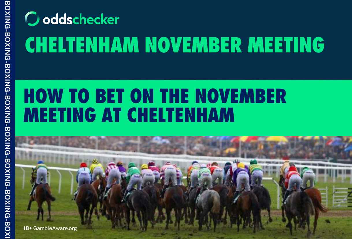 How to Bet on Cheltenham November Meeting: Odds, Races and Offers from Cheltenham