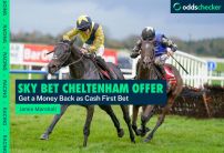 Sky Bet Money Back as Cash in the JCB Triumph Hurdle