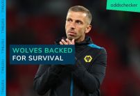 Wolves Positioned for Premier League Survival After Strong Showing Against Man United