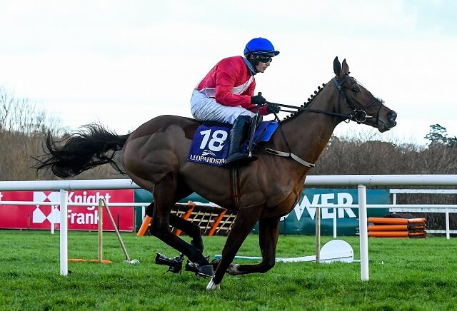 Sky Bet Cheltenham Offer: Bet £10 Get £40 in Free Horse Racing Bets