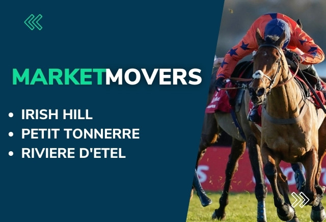 Friday's Cheltenham Market Movers featuring Irish Hill