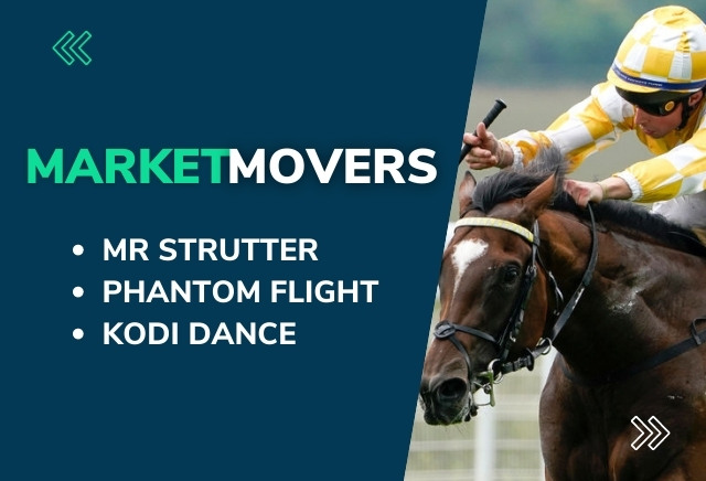 Market Movers Today: Saturday's three steamers at Catterick and Ayr
