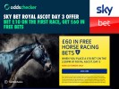 Place a £10 Bet on the First Race at Royal Ascot, Get £60 in Free Bets with Sky Bet