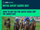 Royal Ascot Ladies Day: How to Bet on the Ascot Gold Cup