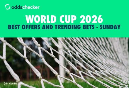 How to Bet on the World Cup: Best Offers and Most Trending Bets for Sunday's Games
