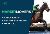 Market Movers for Today's Horse Racing at Dundalk & Southwell