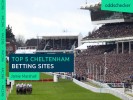 Oddschecker's Top 5 Cheltenham Betting Sites