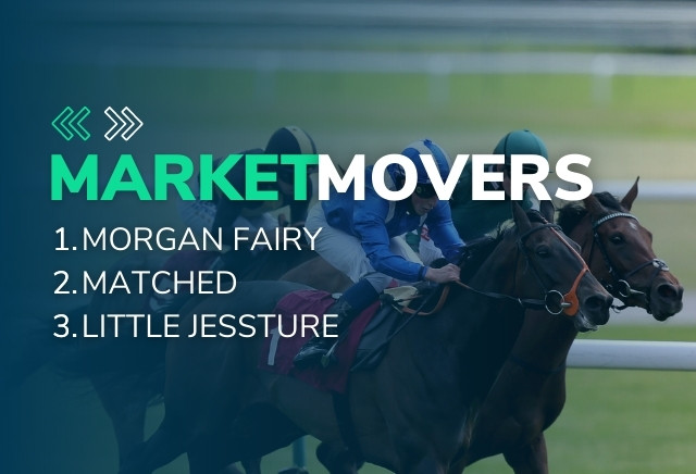 Market Movers Today: Saturday's three steamers at Lingfield and Newton Abbot