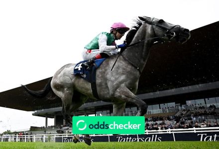 City Of York Stakes 2026: Odds, Declared Runners, Trends & Betting Tips